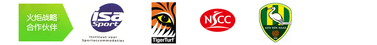 火炬戰(zhàn)略合作伙伴